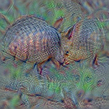 n02454379 armadillo